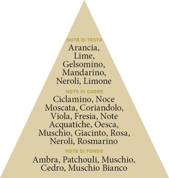 piramide-olfattiva